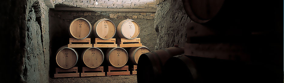 Wine cellar & wines Cellar & Wines - Bricco Rosso Azienda Agricola
